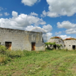 Terreno agricolo in vendita a Martano di circa 8 ettari