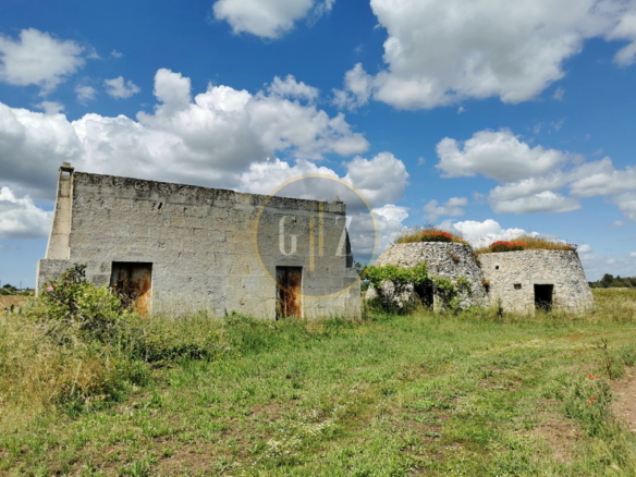 Terreno agricolo in vendita a Martano di circa 8 ettari