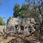 Vendesi terreno oliveto con trulli a Carpignano Salentino