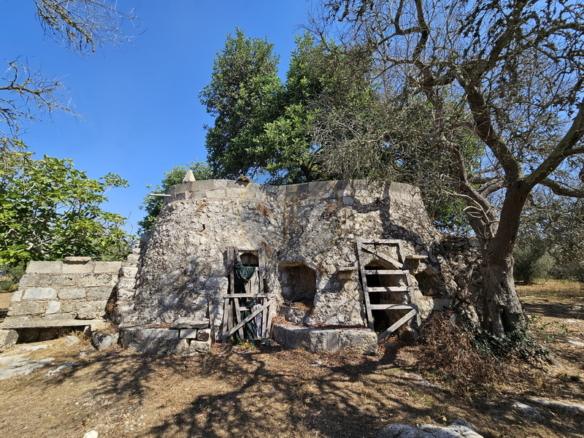 Vendesi terreno oliveto con trulli a Carpignano Salentino